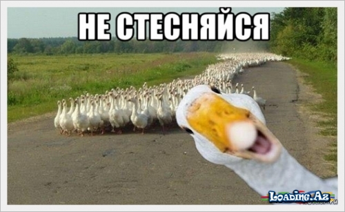 He стесняйся - Sun.Az