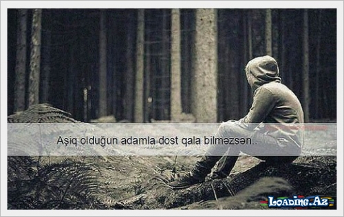 Nə dost ola bildik, nə də sevgili