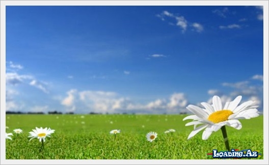 Bu günün hava proqnozu - Sun.Az