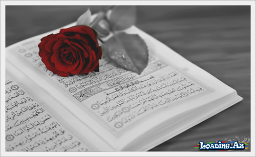 İnsan niyə həsəd aparır?
