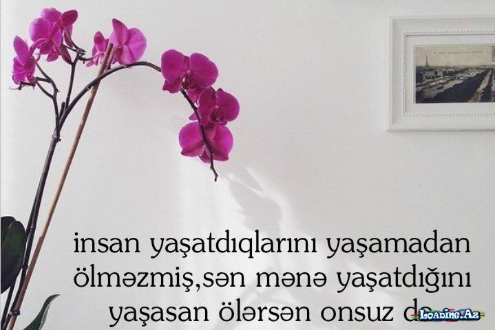 Yazili Sekiller Yep-Yeni - Sun.Az