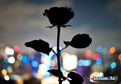 Həyata keçməyən boş ümidlər - Sun.Az