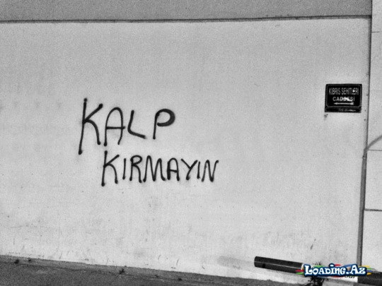 Tumblr'dan (3)