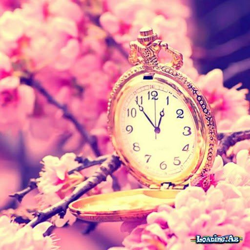 Qandidən 5 həyat dərsi - Sun.Az