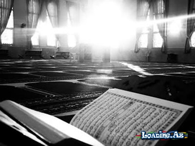 Quranda adı çəkilən quş. Faydaları sonsuzdur