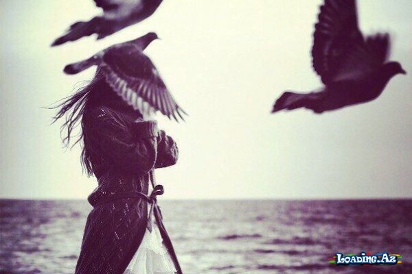 Sus. Bir dəfə dinlə...
