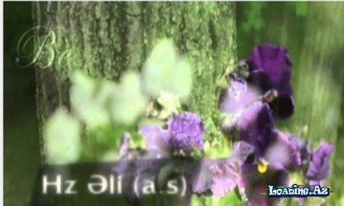Hz. Əlinin (ə.) kəlamları