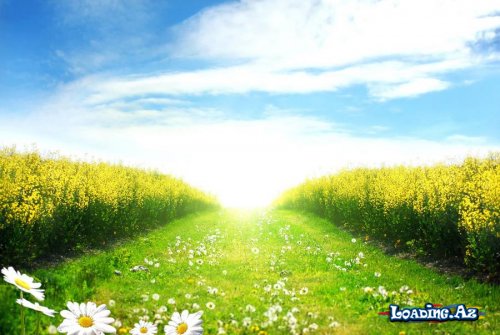 Həftənin ilk iş günü hava necə olacaq? - Sun.Az