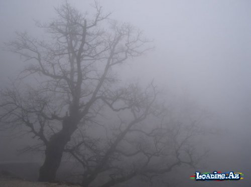 Nazirlikdən HAVA XƏBƏRDARLIĞI: Bu şəxslər DİQQƏTLİ OLSUN - Sun.Az