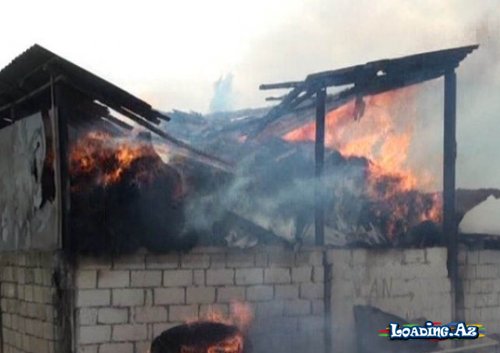 Neftçalada evin çardağına yığılmış 1200 ədəd ot bağlaması yanıb - Sun.Az
