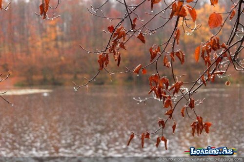 Azərbaycanda sabaha olan hava proqnozu açıqlanıb. - Sun.Az