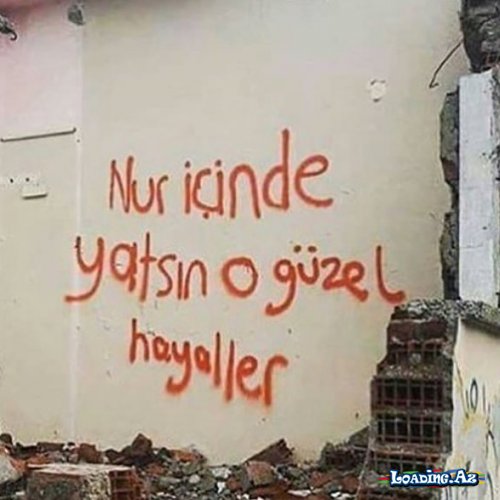 - Sadecə oxu ..