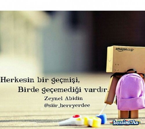 Mən susdum şəkilər susmur)
