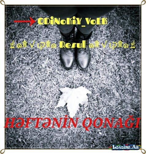 Həftənin qonağı→ODiNoKiY_VoLK ☝๑۩√ιק۩๑ Resul ๑۩√ιק۩๑☝← - Sun.Az