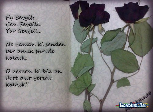 Kelebeğin Umudu (11.Bölüm)