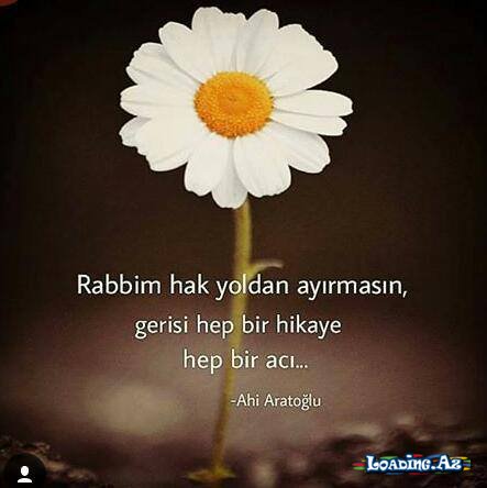 #qarışdırdım birazca#