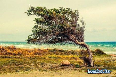 Hava pisləşəcək - XƏBƏRDARLIQ - Sun.Az