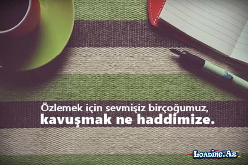 Con Fante - "Tozdan Soruş" kitabından sitatlar - Sun.Az