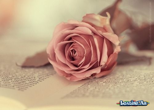 Yalnız tənhalıqda azad olmaq olar - Sun.Az