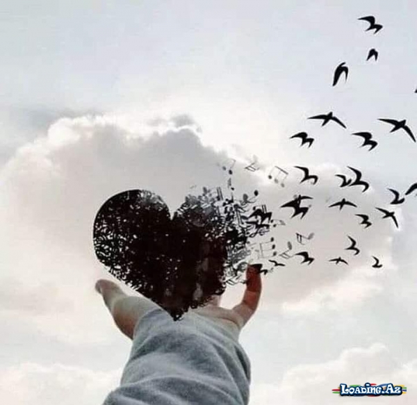 Və inanıram ki hər zaman mənimlə olacaqsan.. - Sun.Az