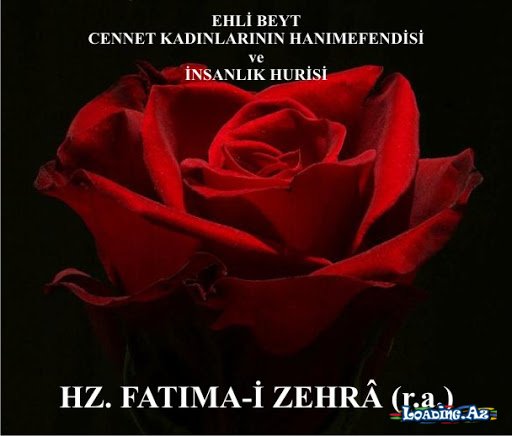Həzrət Zəhranı hədislərdən tanıyaq