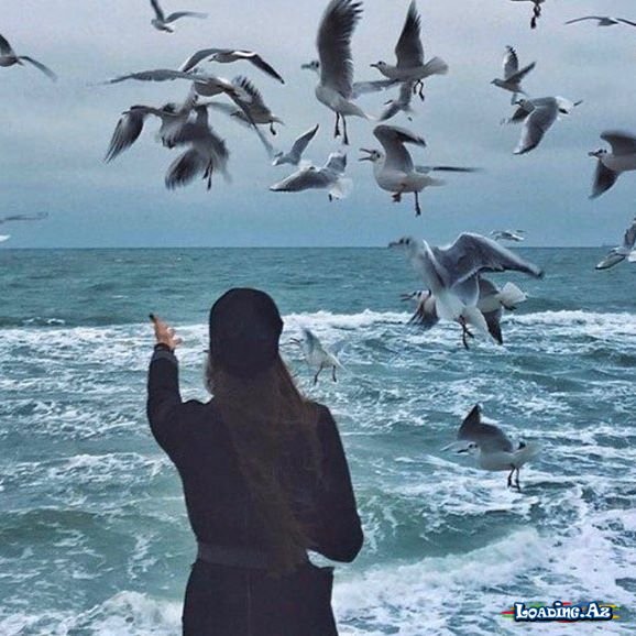 bəzən ne qədər çox isdəsəndə olmur ... - Sun.Az