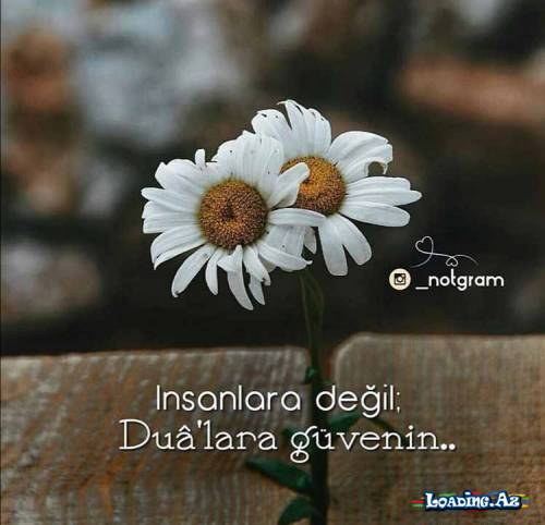 "Gözəl Dini Kəlamlar"👈 - Sun.Az