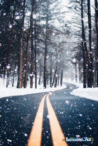 ❄️Snow❄️