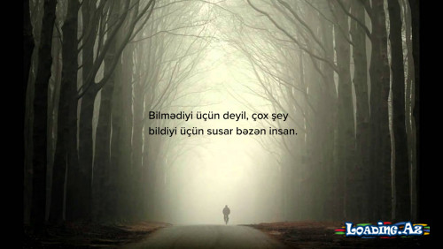 StatusLar