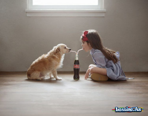 Pozitiv fotolar: Balaca Raven və iti Jack