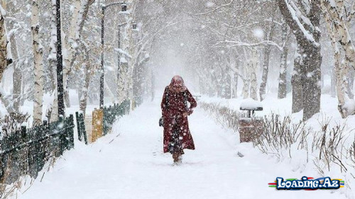 Yenə qar yağırdı... - Sun.Az