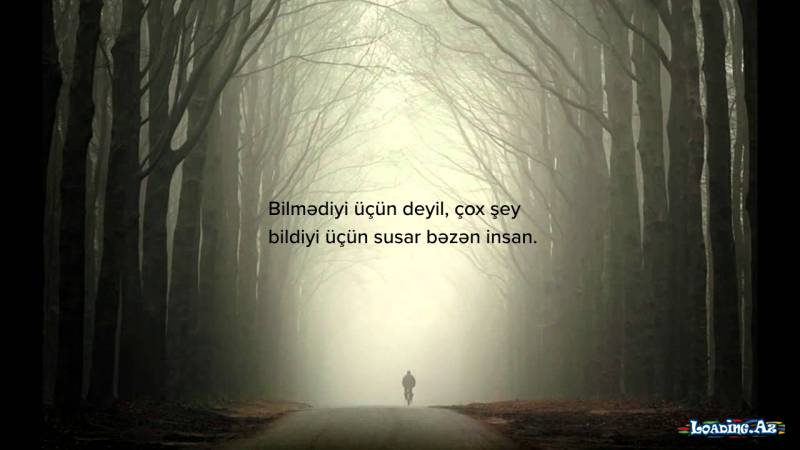 İnsanlar belədir, bəziləri yalan olar bəziləri ilan, çox nadir yetişər yalan dünyada adam kimi qalan. - Sun.Az