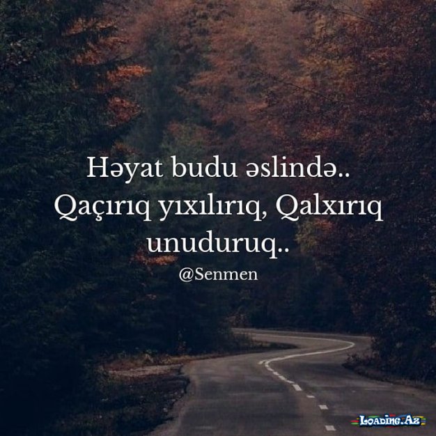 Yaşamağa davam et.. Mübarizə olmasa həyat marağsız olar..