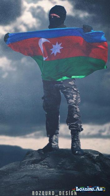 Məmməd Araz - Vətən desin