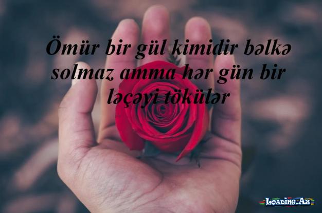 Həyat öyrədir insana;İtirməkdən qorxmağı.Qazanamaq üçün çalışmağı. - Sun.Az