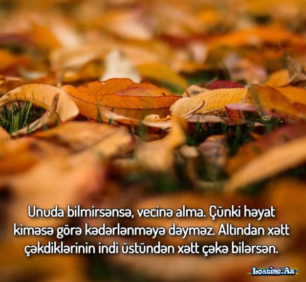 Həyat "kaş ki"lərdən ibarətdirsə, "nə isə"lərlə davam et. Gördün o da alınmır, axarına burax, seyr et. - Sun.Az