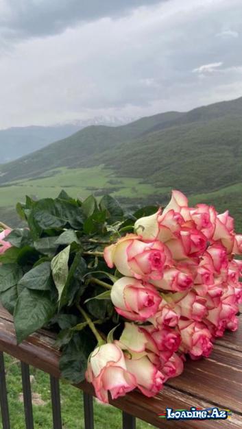 İlk mesajı nə qız, nə oğlan yazar. İlk mesajı həqiqətən sevən yazar... - Sun.Az
