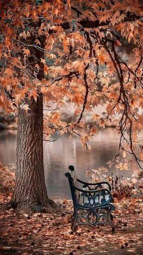 Payız🍁🍂 (3)