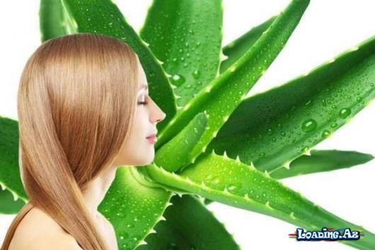 Saçınızı düzləşdirən təbii jele – ALOE - Sun.Az