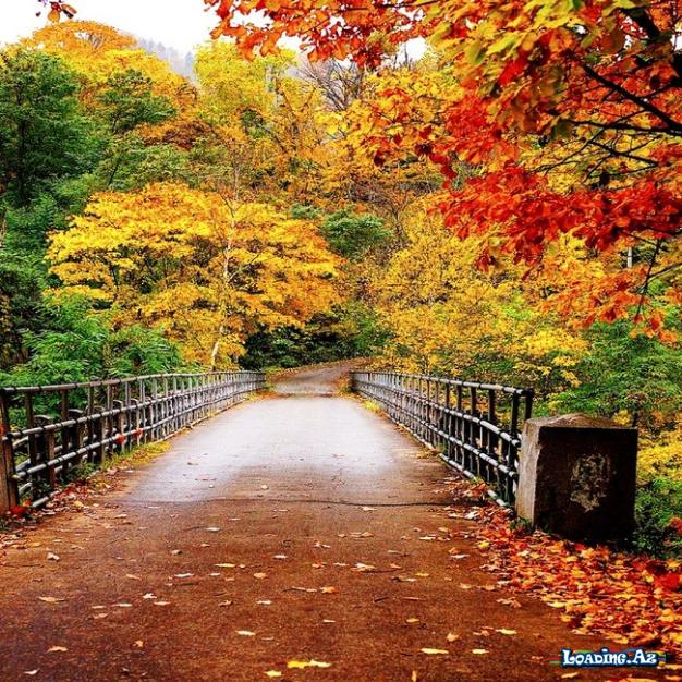 Ən gözəl fəsil payız 🍂❤️