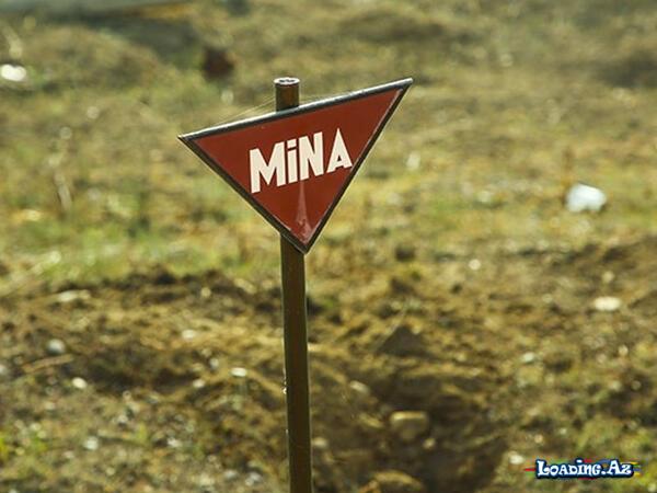 ANAMA: “Birinci Qarabağ müharibəsi dövründən qalan minalara da rast gəlinir” - Sun.Az