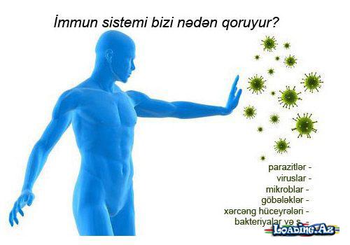 “İmmunitet” nədir?