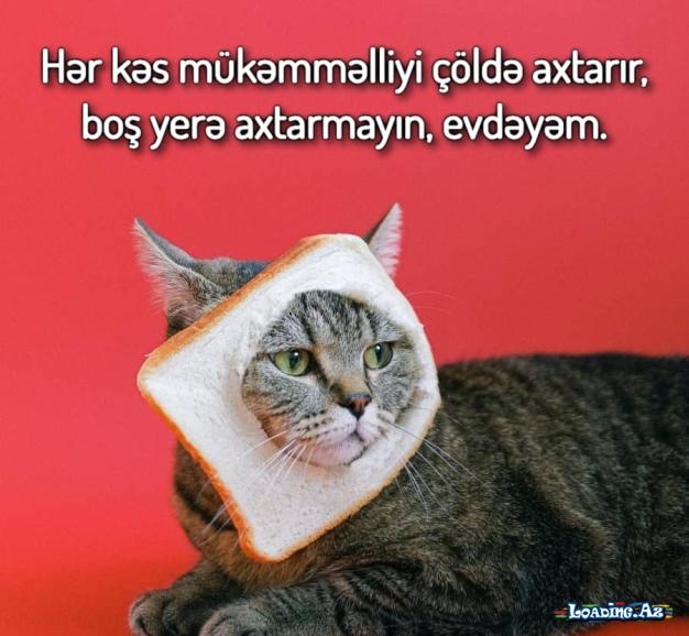 Bilməmək ayıb deyil, yetər ki, biruzə vermə.