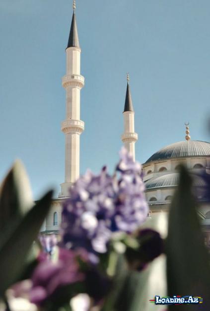 Xoşbəxtliyin sirri...