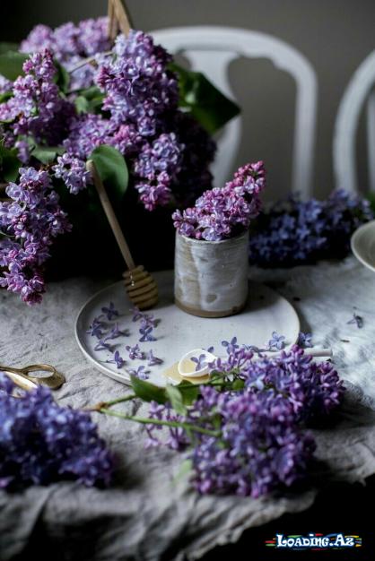 Yasəmən çiçəyinin hekayəsi 🌸 - Sun.Az