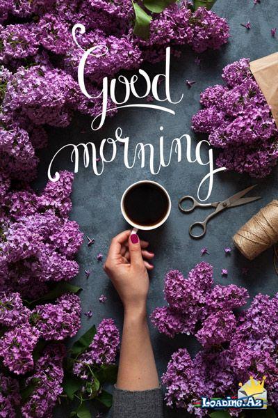 (-‿◦☀) Ｇｏｏｄ Ｍｏｒｎｉｎｇ (-‿◦☀) (4)