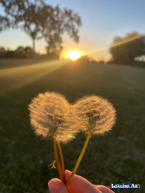 Yaşamak Ne Güzel,hayat Ne Güzel Şiiri - Sun.Az