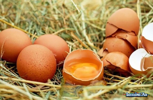 Yumurta sarısının rəngi - Bu seçimi səhv etməyin, yoxsa... - Sun.Az