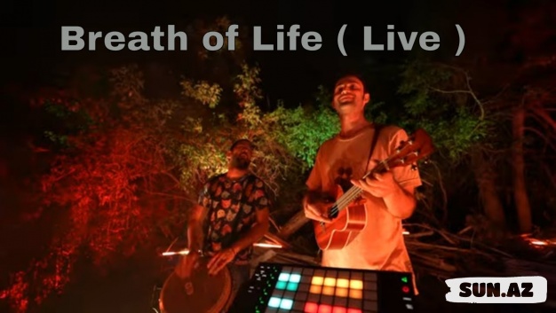 Breath of Life Live Outdoor Performance - Sina Bathaie