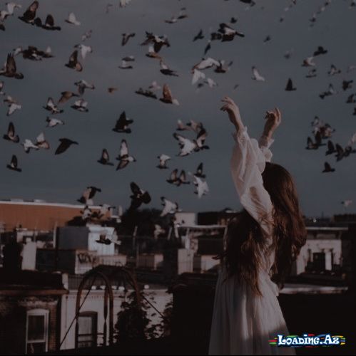 Əgər güvən varsa bir qəlbdə. O qəlbdə sevgi də tapılar, dürüstlük də!